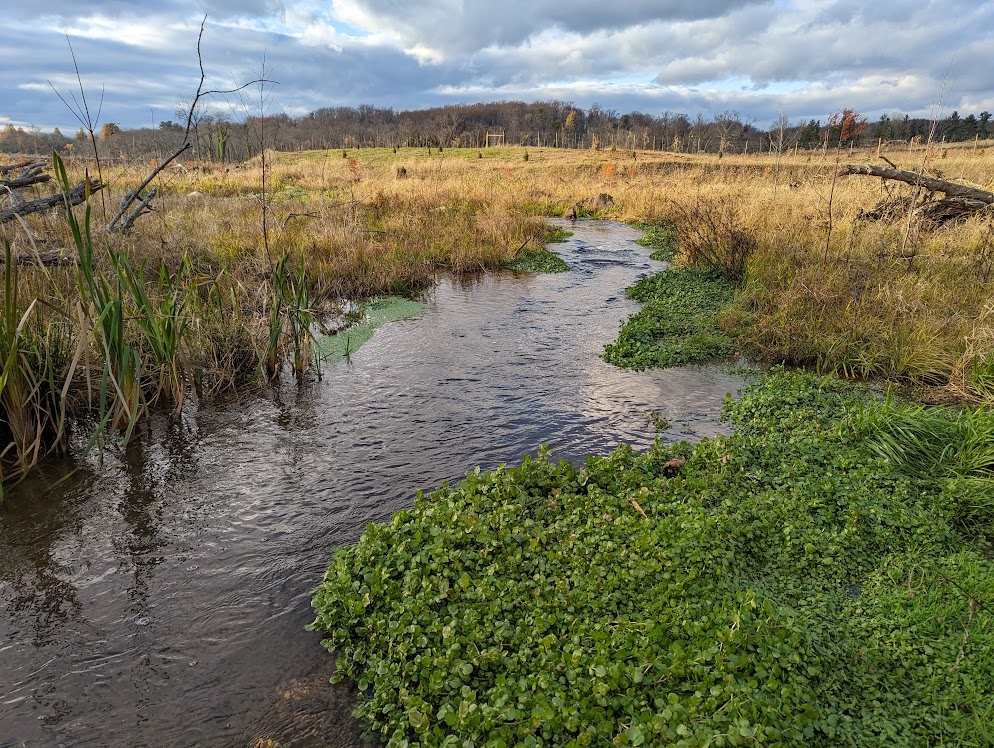 march water