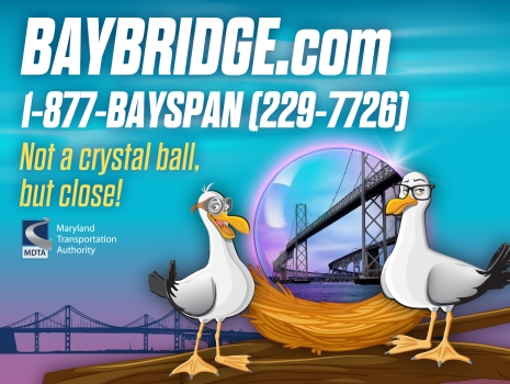 BAYBRIDGE.COM - 1-877-BAYSPAN - No crystal ball, but close!
